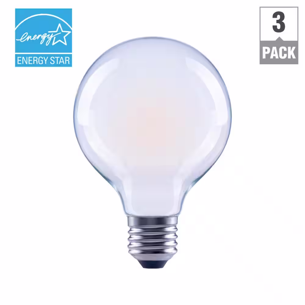 EcoSmart 60-Watt Equivalent G25 Globe Dimmable ENERGY STAR Filament LED Frosted Vintage Light Bulb Soft White (3-Pack)