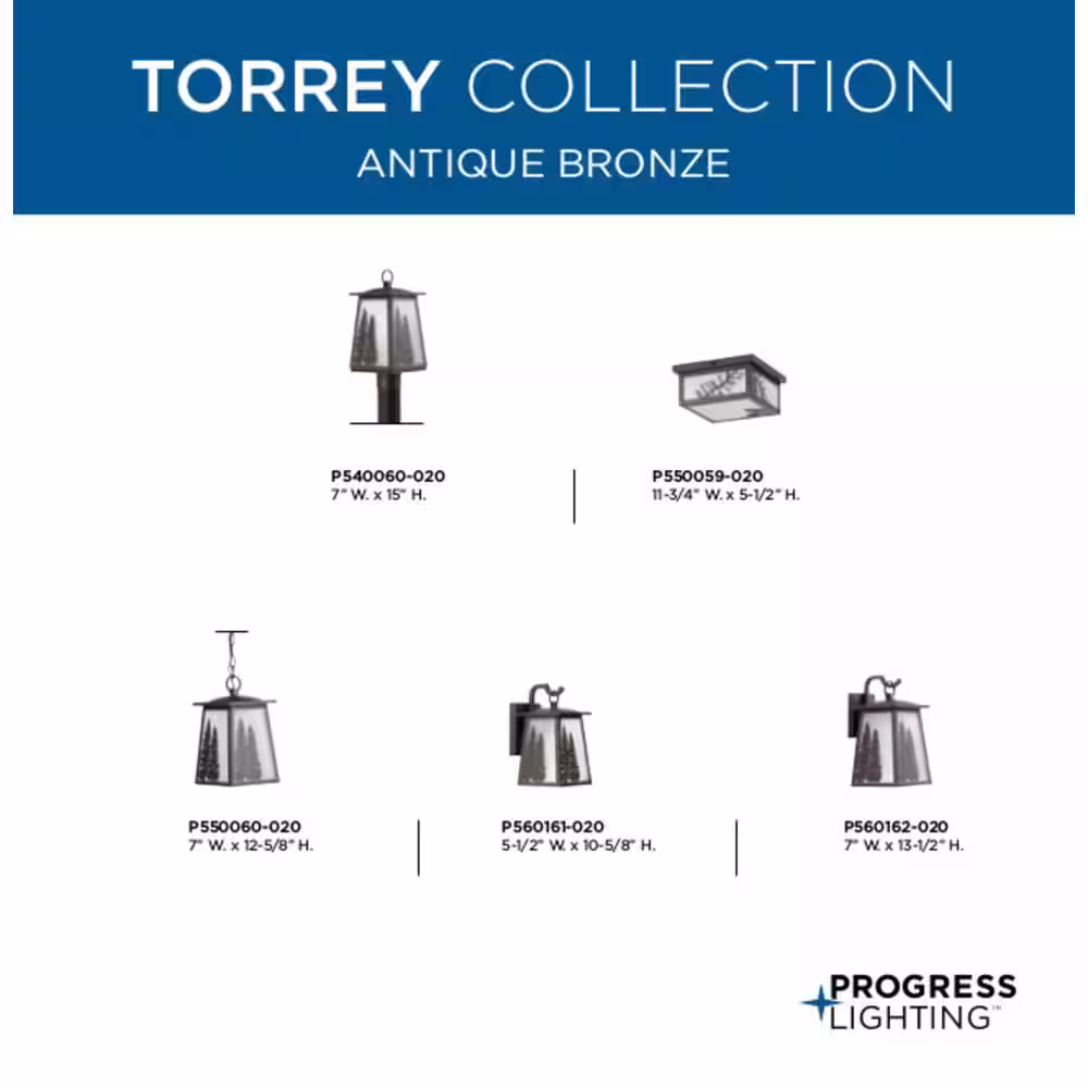 Progress Lighting Torrey Collection 1-Light Antique Bronze Etched Seeded Glass Craftsman Outdoor Hanging Lantern Light