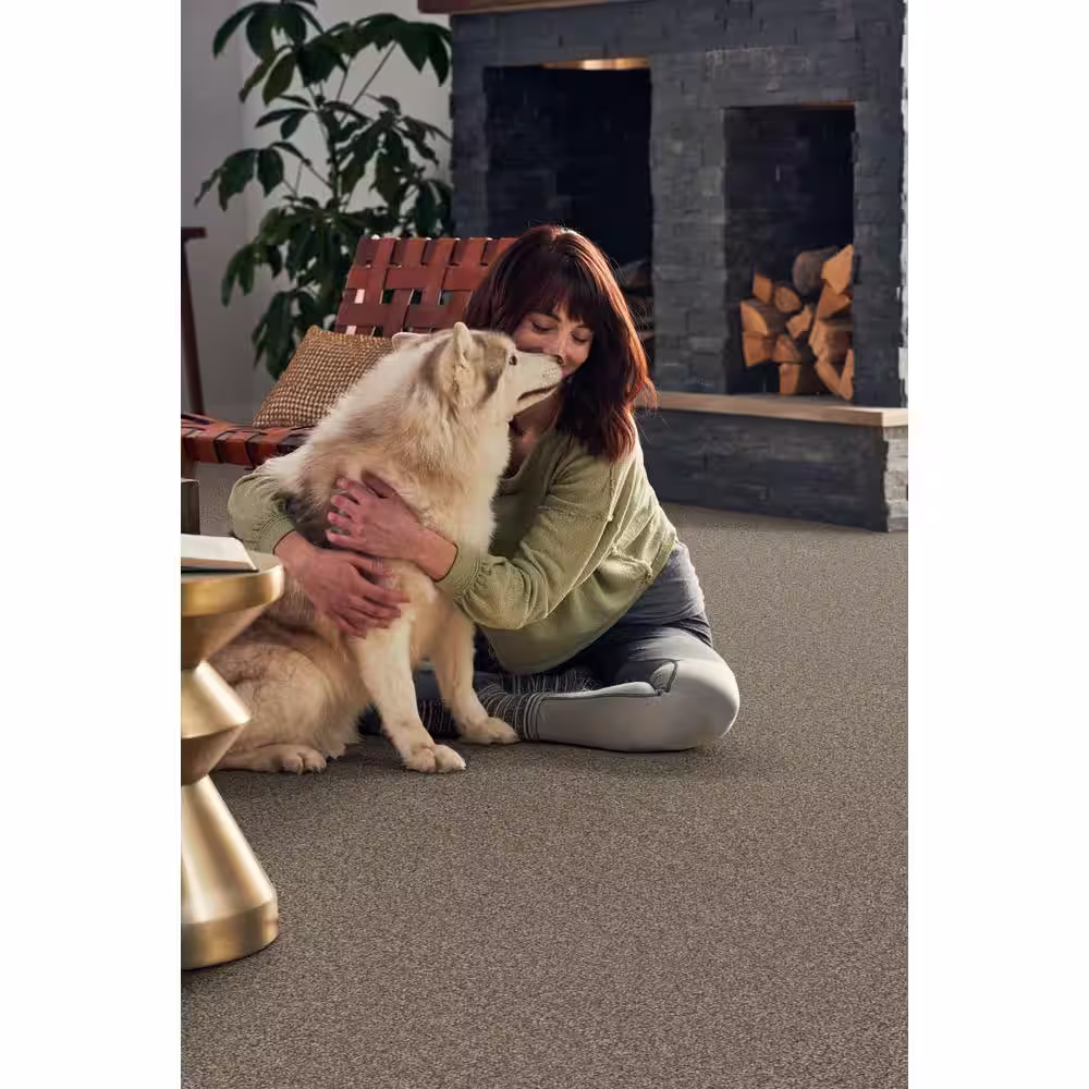 Home Decorators Collection Pioneer - Santa Fe Spirit - Brown 73.5 oz. SD Polyester Texture Installed Carpet