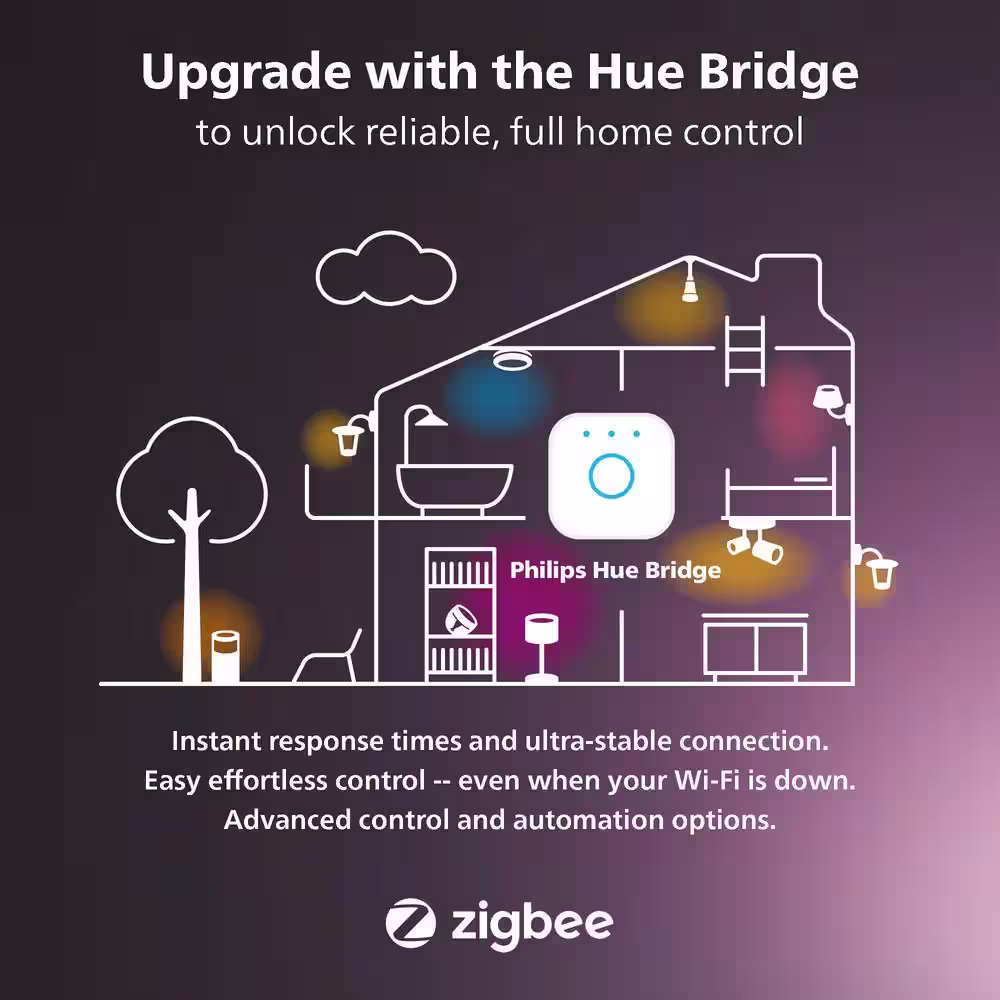Philips Hue 16.4 ft. Outdoor Color Changing Plug In Low Voltage Integrated LED Smart Rope Light (1-Pack)